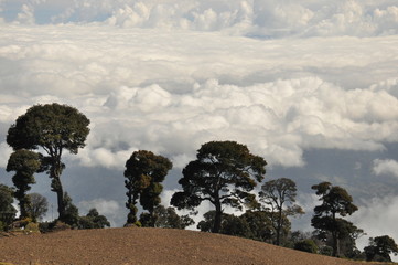 Agricultural slopes of the volcano Irazu in Costa Rica with fertile soil and numerous crops on...