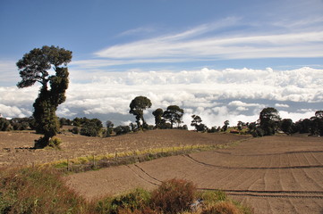 Agricultural slopes of the volcano Irazu in Costa Rica with fertile soil and numerous crops on...
