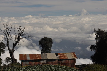 Agricultural slopes of the volcano Irazu in Costa Rica with fertile soil and numerous crops on...