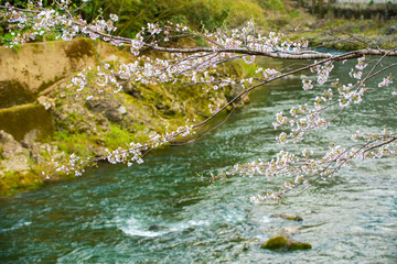 多分、終わりはこの季節だと思う