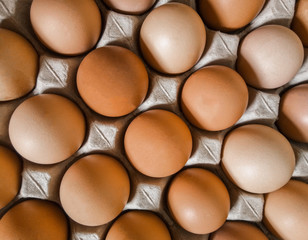 Close-up view of eggs background. Health concept. Food high protein. Top view