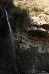 A green oasis with a waterfall and lakes in the Ein Gedi National Park in Israel on the Dead Sea