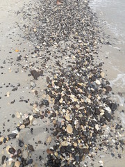 Travel to sea of oman