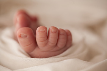 Closeup newborn baby foots on white