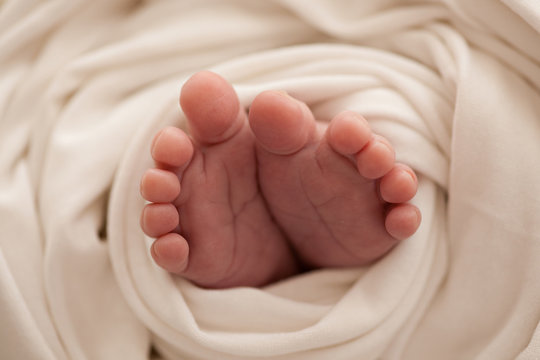 Closeup newborn baby foots on white
