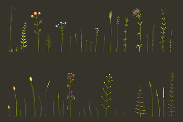 Hand drawn herbal and wild grass elements clip art collection on dark background. Wild florals decorative set.