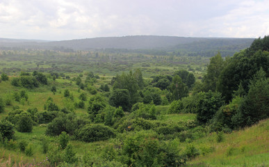 Fototapeta premium Panorama of a green valley with bushes and individual trees on a cloudy summer day.