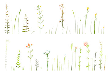 Wild grass and dry medical herbs and flowers hand drawn collection, freehand isolated decorative herbarium objects on white. - obrazy, fototapety, plakaty