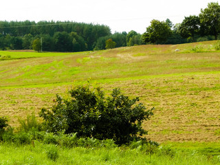 Landscape of Kashubian countryside. Poland.