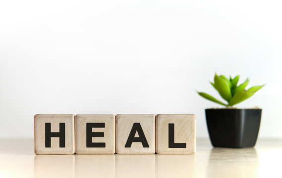 HEAL - medical concept. Wooden cubes and flower in a pot.