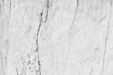 Wood white background, Wooden pattern gray wall abstract plank board for design