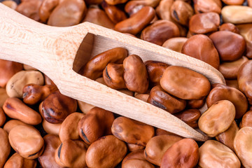 Beautiful multicolored beans close-up on a concrete background