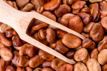 Beautiful multicolored beans close-up on a concrete background