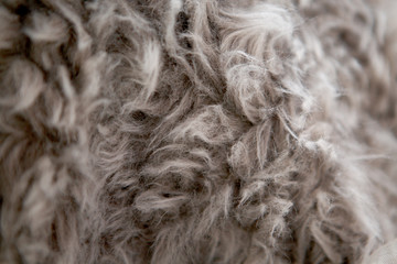 양털러그 구불구불그레이 예쁘고 따뜻한 소재 재질 