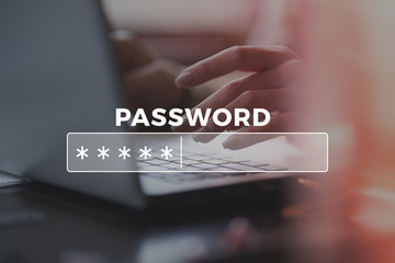 Password Box in Internet Browser