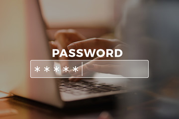 Password Box in Internet Browser