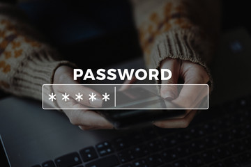 Password Box in Internet Browser