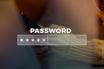 Password Box in Internet Browser