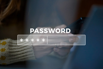 Password Box in Internet Browser