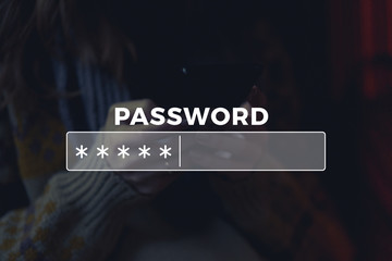 Password Box in Internet Browser