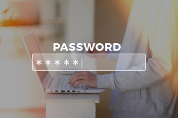 Password Box in Internet Browser