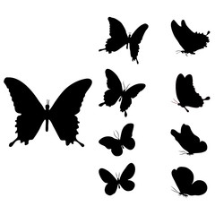 Obraz na płótnie Canvas Butterfly silhouette set, design on transpant background Vector