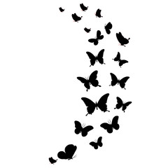 Fototapeta na wymiar Silhouette beautiful butterflies, isolated on transpant background