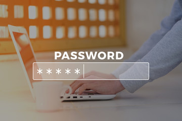 Password Box in Internet Browser