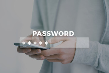 Password Box in Internet Browser