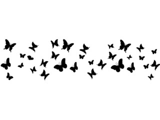 Fototapeta na wymiar Silhouettes of butterflies flying isolated on transpant background