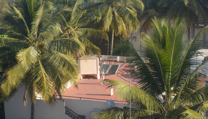 palm tree in front of a house , man doing early morning exercise