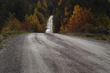Hilly road through autumn forest.