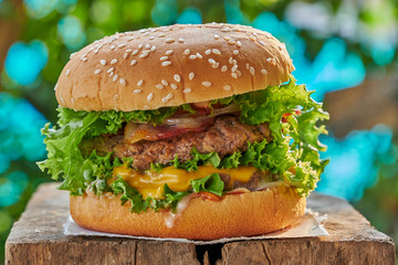 Beef Hamburger on wood table