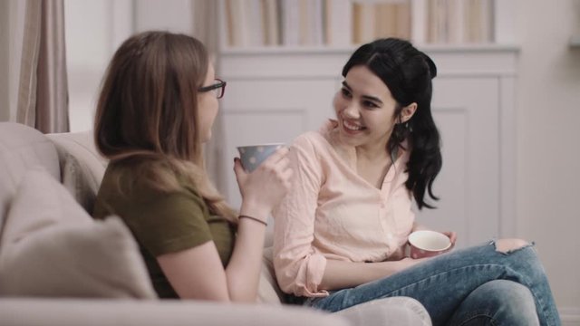 Female friends drinking tea and talking on sofa in living room