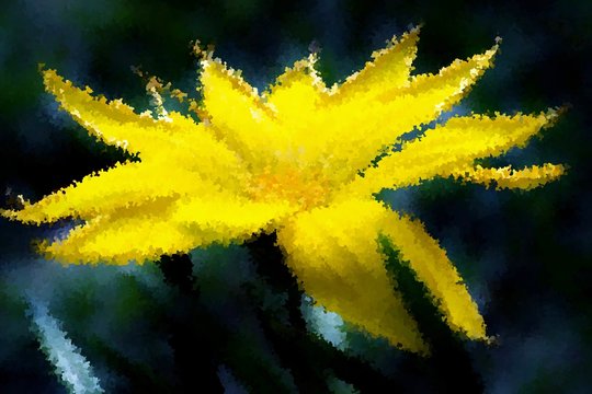 Close up of beautiful yellow Gazania blossom in bright sunlight Impression