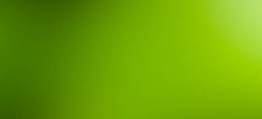 Green nature blurred nature background. Radian tone. Banner