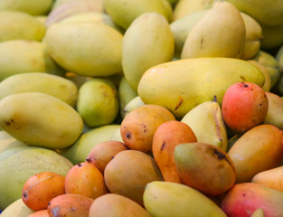 Mango fruits on the market