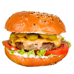 Tasty Burger on a plate in cafe.