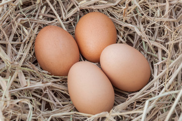 Close up shot of an empty egg on a straw