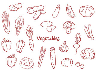 野菜　手描き　線画　セット　イラスト　