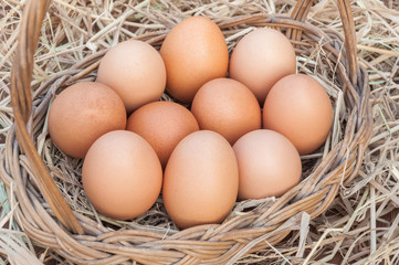 Close-up of several chicken eggs placed in a basket in the foundation with straw.
