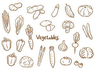 野菜　手描き　線画　セット　イラスト　