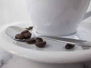Coffee Cup