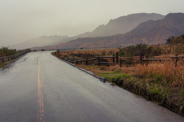 A wet road after heavy rain on the way to Mount Aso in Kyushu, Japan