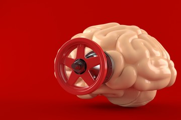 Brain with valve © Talaj