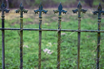 Widerhaken Photos Royalty Free Images Graphics Vectors Videos Adobe Stock