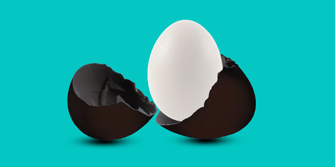 concept egg difference and ideas egg white and black color business model with business choice better or best and ideas ambition with difference and unique growth. soft focus and tone color