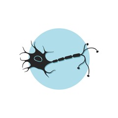 Nerve cell icon, flat sign for mobile concept and web design. Human Neuron glyph icon isolated on white background