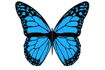 Farfalla colorata vola con le ali aperte su sfondo bianco.. - obrazy, fototapety, plakaty