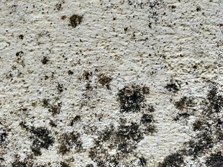 texture of a wall